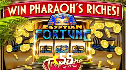 Descubra a Magia dos Jogos de Arcade no t55